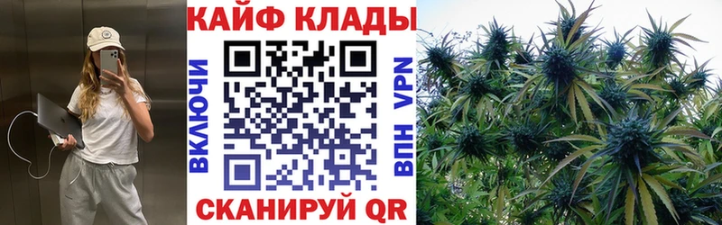 Сколько стоит Кущёвская КОКАИН  Марихуана  APVP  Гашиш  ГЕРОИН  МЕФ 