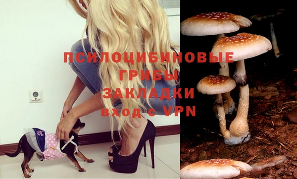 мдма Богданович