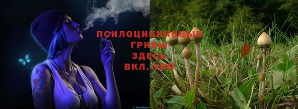 метадон Богородск