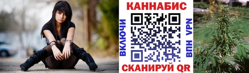 наркота  Кущёвская  Конопля сатива 